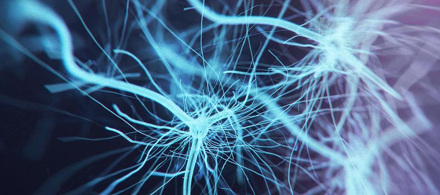 Closeup of neuron system