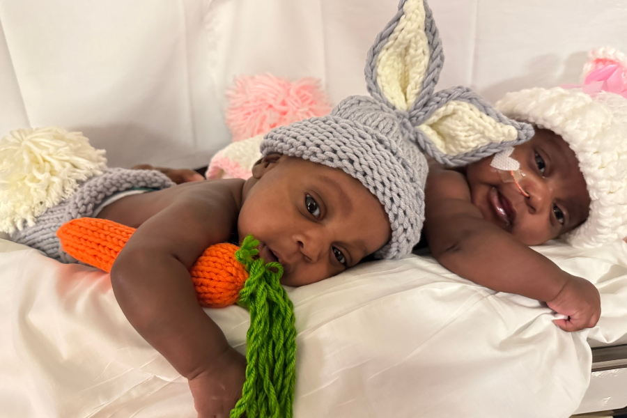 Bunny twins snuggling up in their ‘den’.