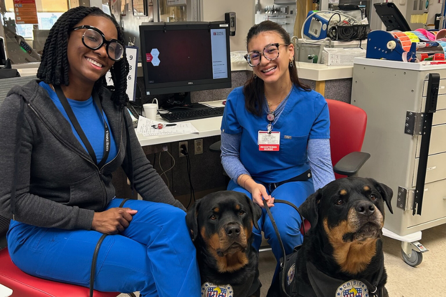 Crisis Canines Jolene and Axel meet two of our nurses.