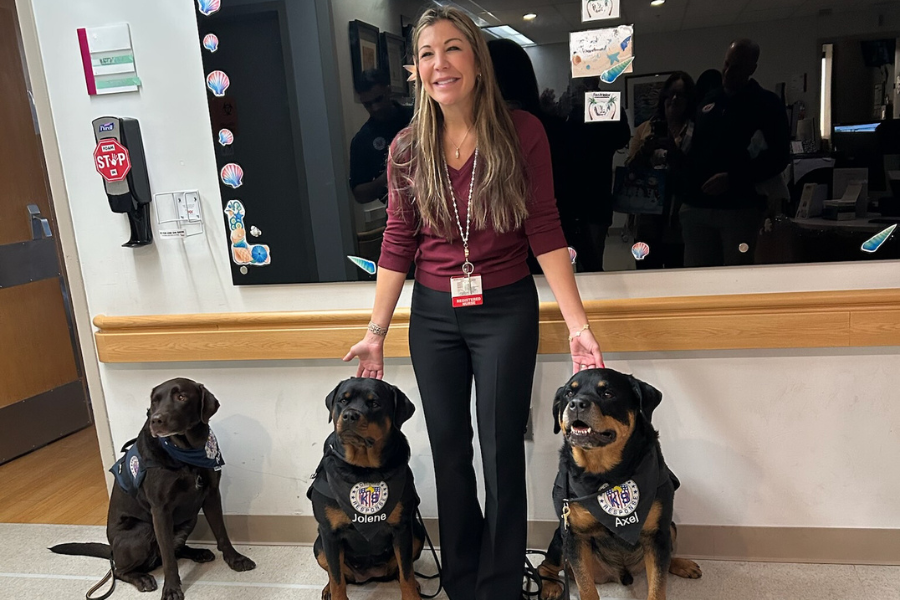 Three dogs are always better than one!