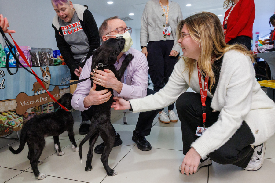 This puppy loved to give kisses to everyone in sight!