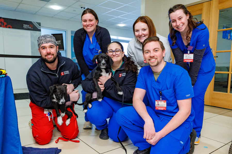 What’s better than one adoptable puppy? How about two?