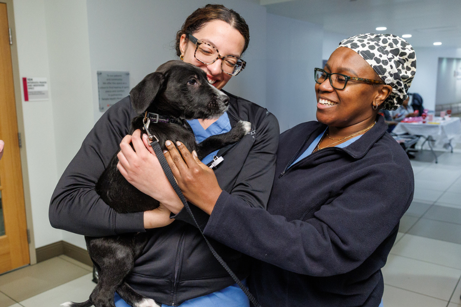 Our team members were all smiles for this little sweetheart!