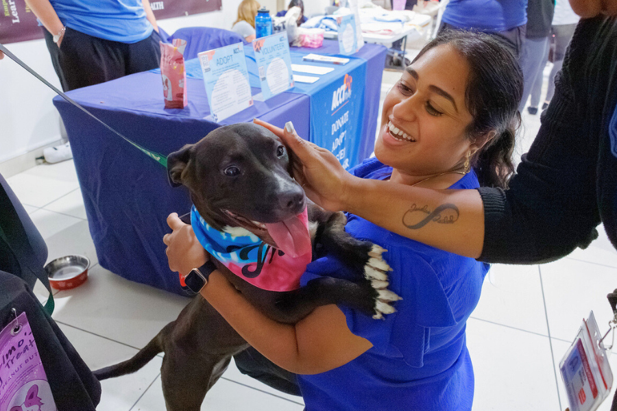 Our TUH-Main Campus employees loved getting quality time with these furry friends—all available for adoption at local rescues!