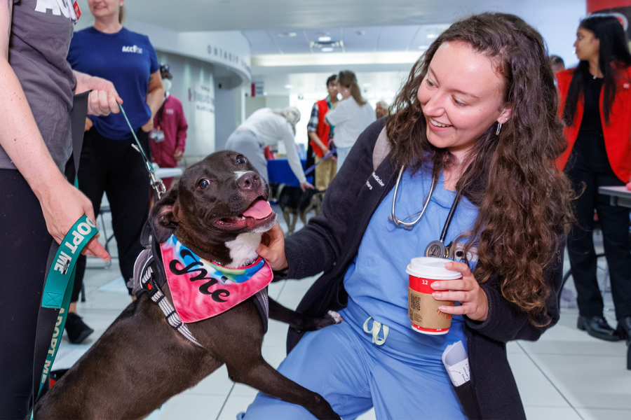 Our TUH-Main Campus employees loved getting quality time with these furry friends—all available for adoption at local rescues!