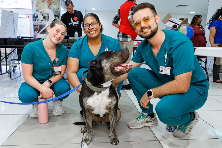 Our TUH-Main Campus employees loved getting quality time with these furry friends—all available for adoption at local rescues!