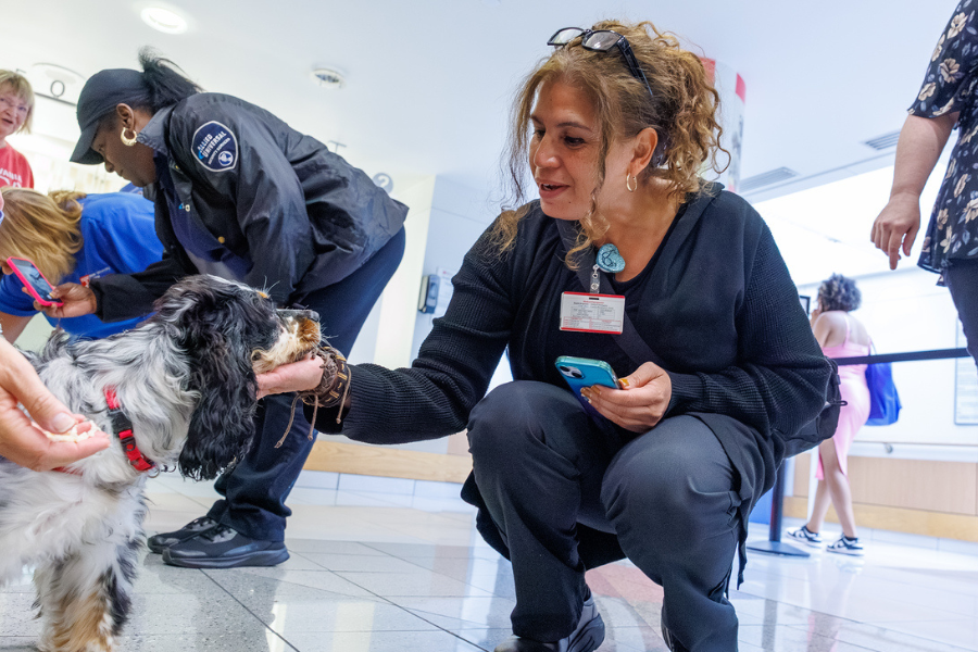 Our TUH-Main Campus employees loved getting quality time with these furry friends—all available for adoption at local rescues!