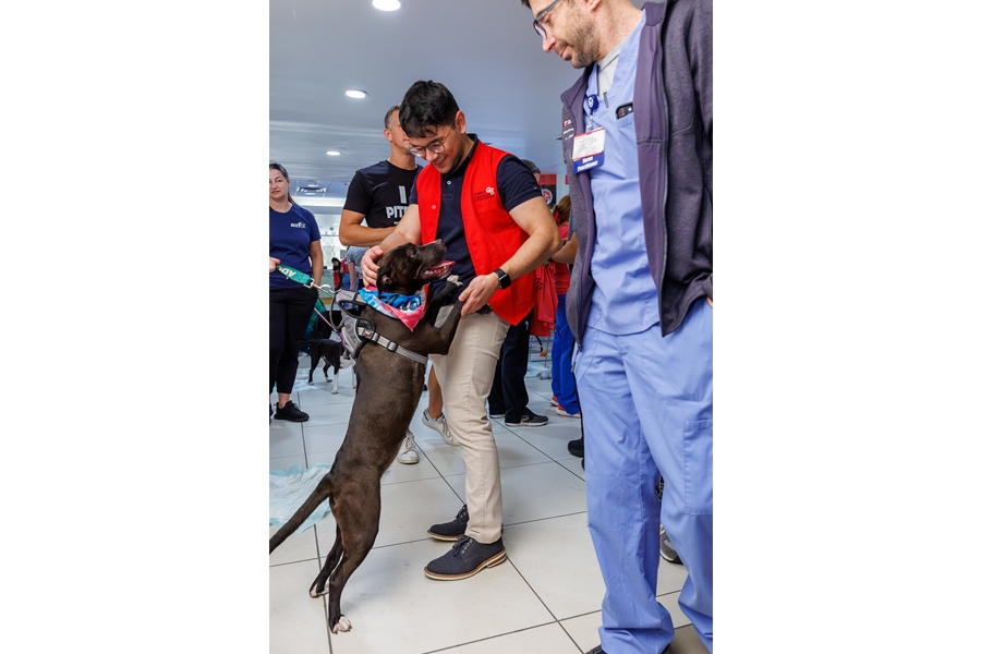 Our TUH-Main Campus employees loved getting quality time with these furry friends—all available for adoption at local rescues!