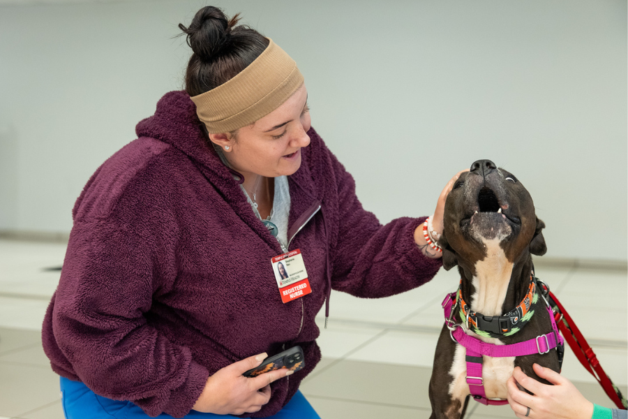 Snapshots from our annual Puppies and Pumpkins event.
