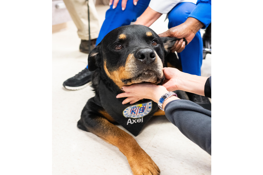 Exclusive photos from @thedogist’s visit to campus!