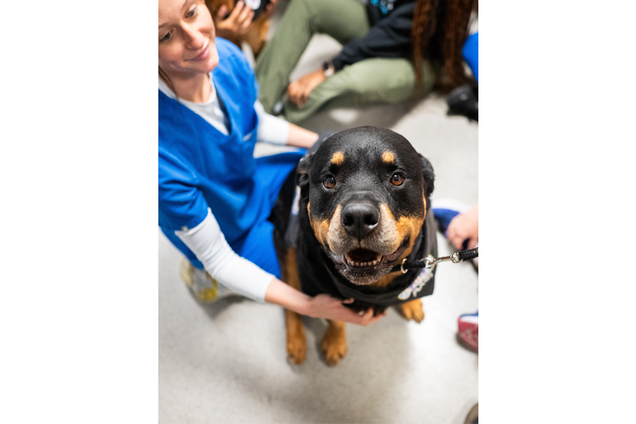 Exclusive photos from @thedogist’s visit to campus!