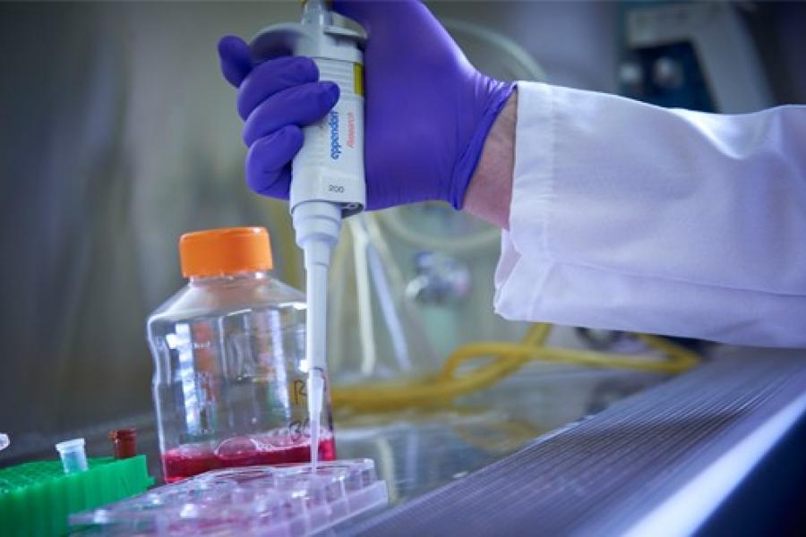 Researcher using syringe to put liquid into container in lab
