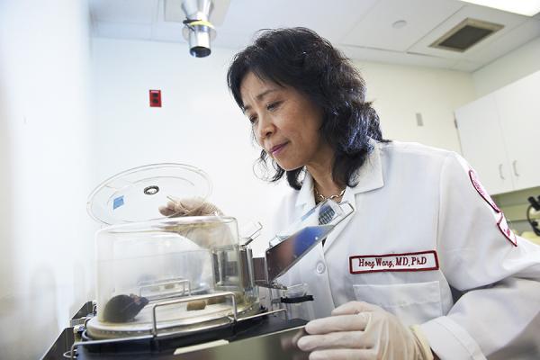 Cardiovascular researcher with mouse in lab