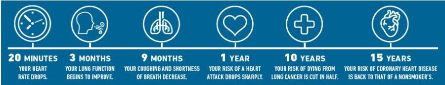 Smoking Infograph