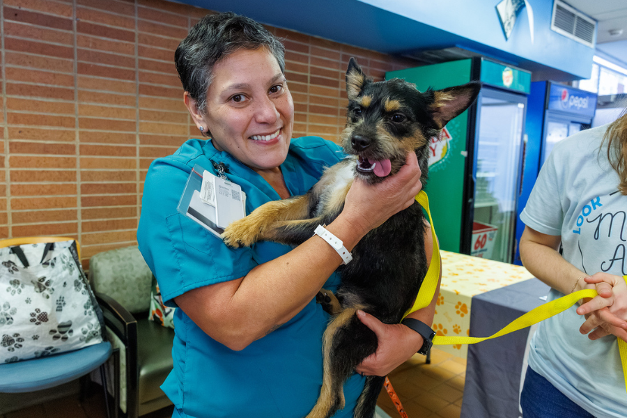 Team member with a lovable dog, striking a pose for the camera