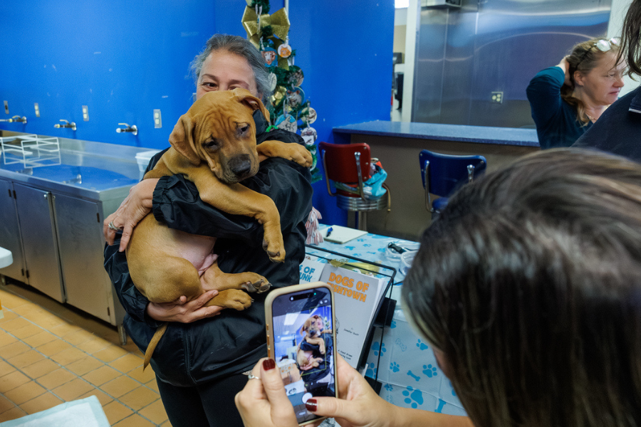 Team member sharing a joyful moment with a playful dog