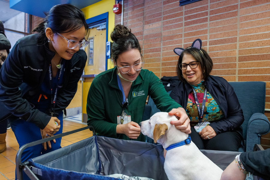 Team member enjoying a moment with a lovable dog.
