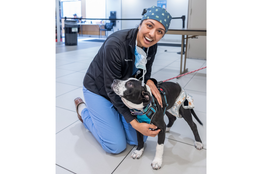 Temple Health’s House Staff enjoying this year’s appreciation events.