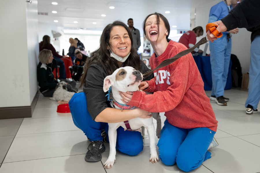 Temple Health’s House Staff enjoying this year’s appreciation events.