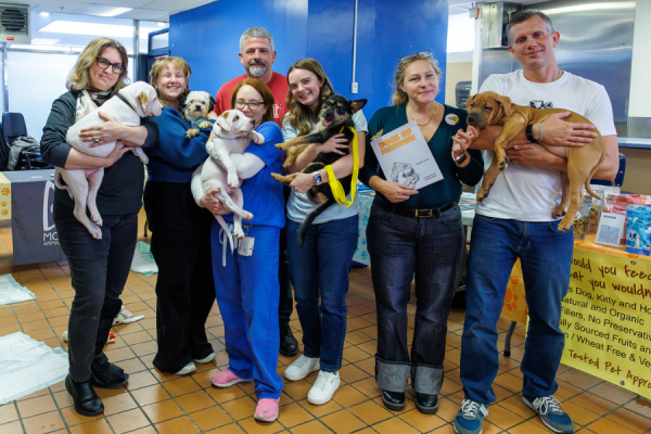 Team members loved spending time with the dogs.